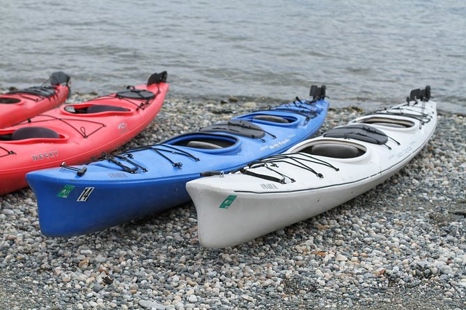 Inside Passage Sea Kayaking From Skagway - Key Points