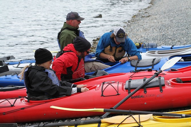 Inside Passage Sea Kayaking From Skagway - Wildlife Encounters