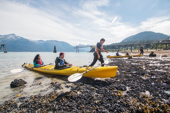 Inside Passage Sea Kayaking From Skagway - Customer Reviews and Feedback