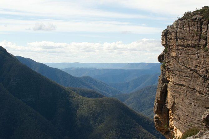 Inside the Greater Blue Mountains World Heritage - A Private Wildlife Safari Overnight - Exploring the Blue Mountains on a Private Wildlife Safari: An In-Depth Review