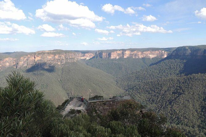 Inside the Greater Blue Mountains World Heritage - A Private Wildlife Safari Overnight - Who Will Love This Tour?
