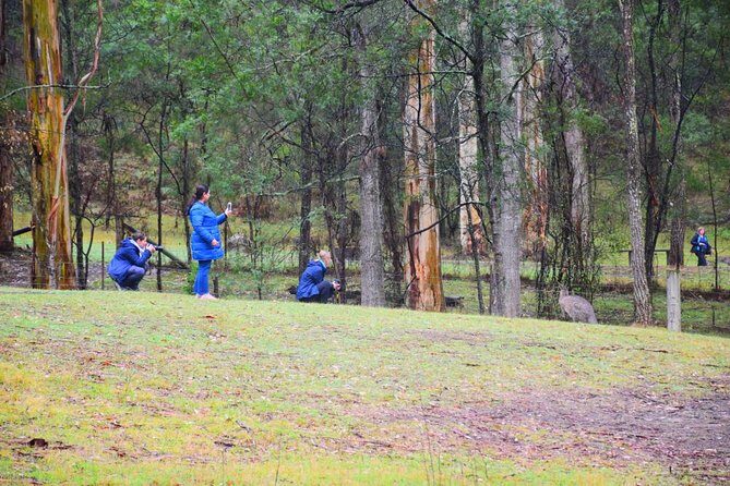 Inside the Greater Blue Mountains World Heritage - A Private Wildlife Safari Overnight - Final Thoughts