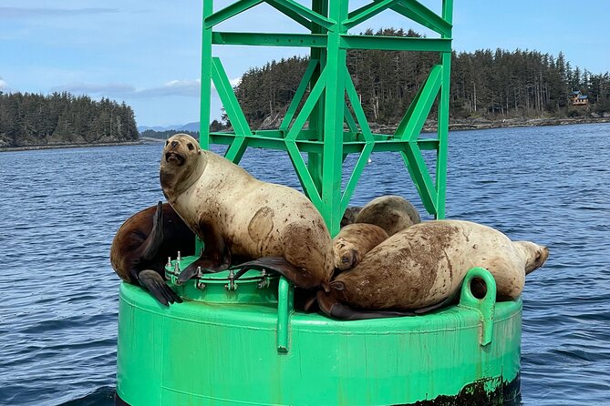 Inside Waters Wildlife and Scenery Tour - Meeting Point and Logistics