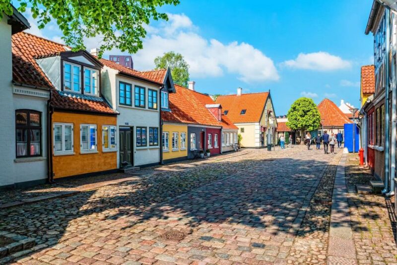 Inspiring Odense - Walking Tour for Couples - Admission Fees
