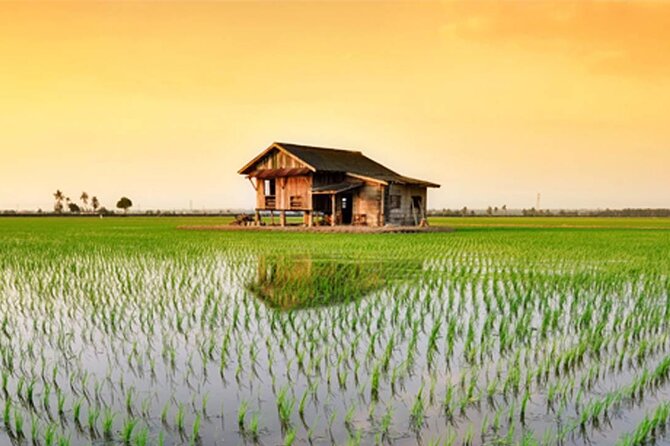 Instagrammable Kuala Selangor Sky Mirror Tour With Transfer - Meeting and Pickup Information