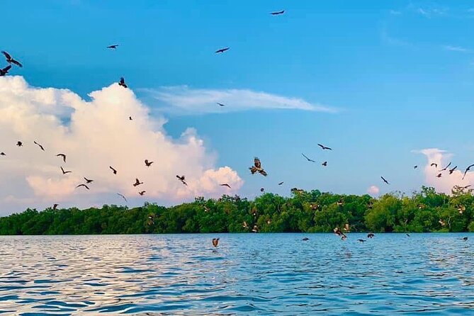 Instagrammable Kuala Selangor Sky Mirror Tour With Transfer - Recommendations