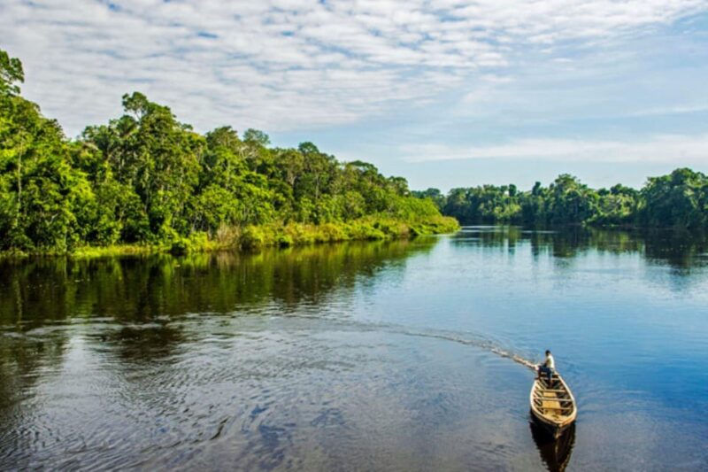 Intense Exploration: Adventure in the Jungle of Mirrors - Key Points