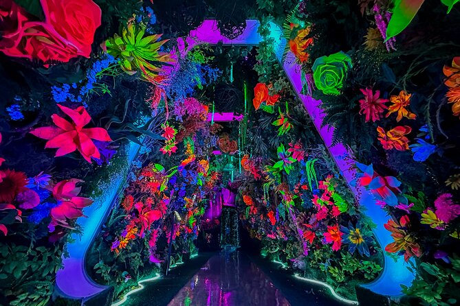 INTER Interactive Art Experience Ticket - Frequently Asked Questions