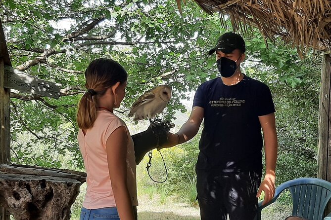 Interactive Path of Birds of Prey - Tour Details and Reviews