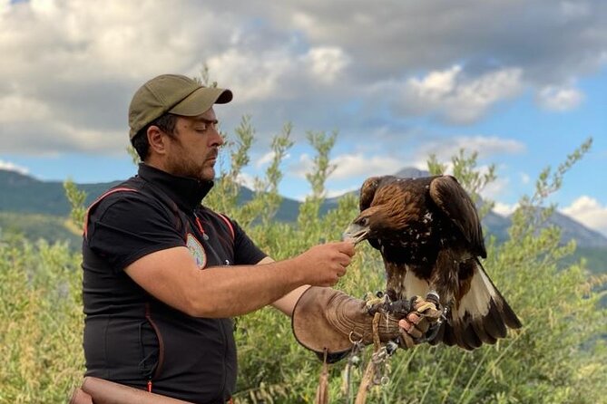 Interactive Path of Birds of Prey - Services Included in the Tour