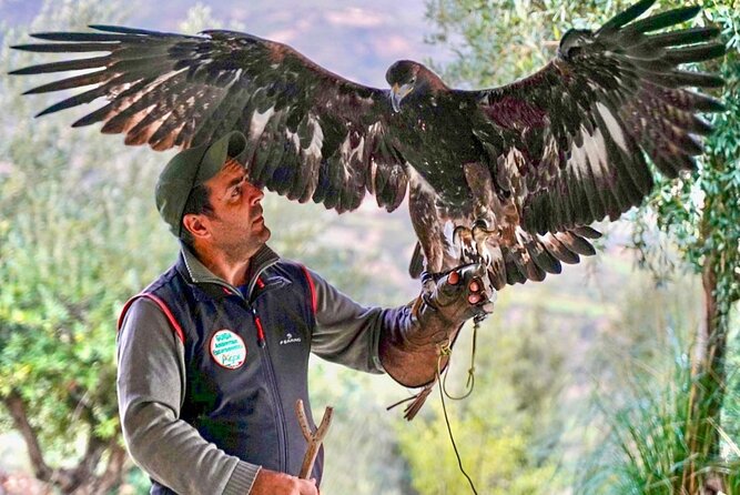 Interactive Path of Birds of Prey - Meeting Point and Start Time