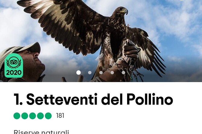 Interactive Path of Birds of Prey - Booking and Accessibility Information