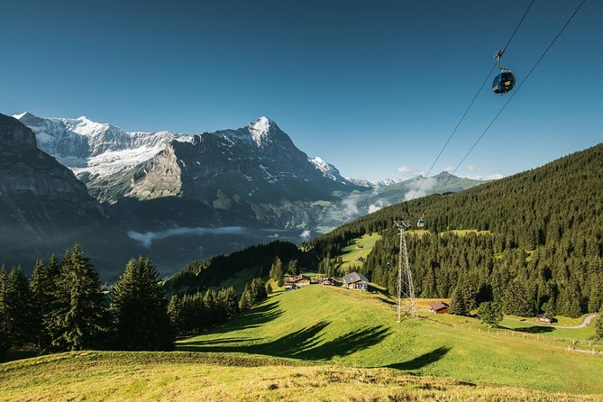 Interlaken and Grindelwald Day Trip From Lucerne - Optional Cable Car Ride
