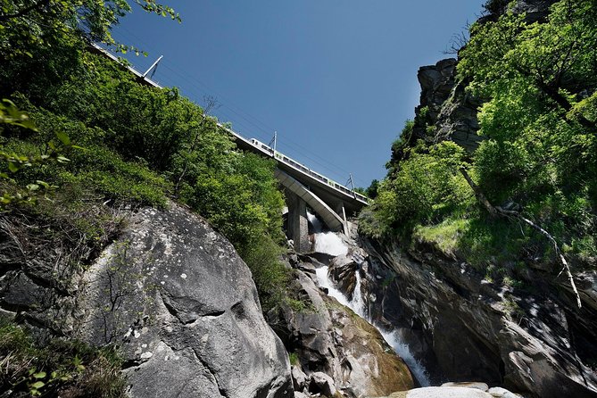 Interlaken and the Green Train of Swiss Alps Day Trip From Milan - Reviews and Feedback