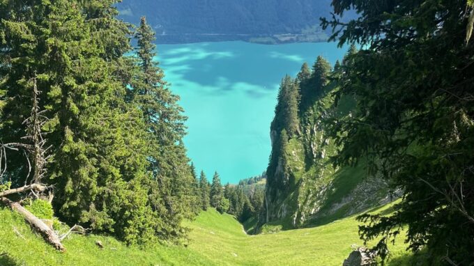 Interlaken: Guided Hike to Harder Kulm With Swiss Triathlete - Frequently Asked Questions
