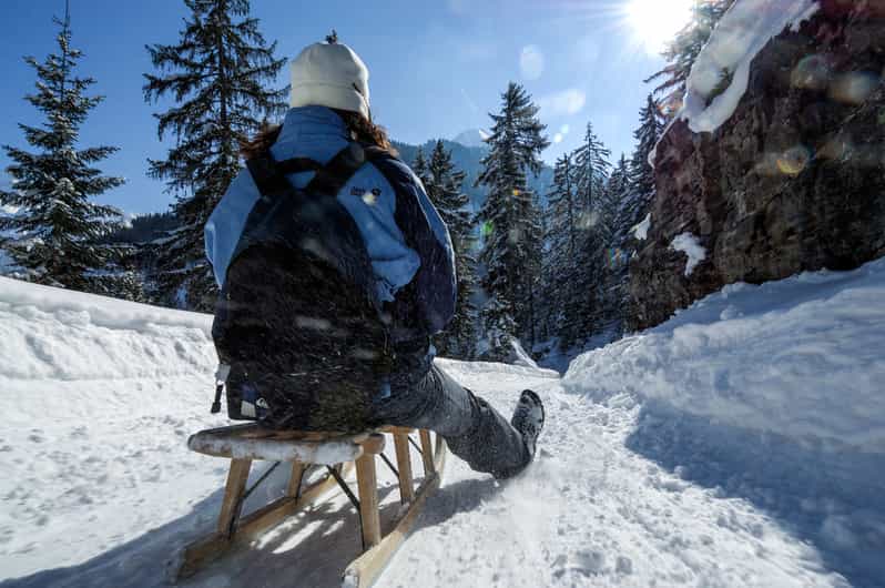 Interlaken: Guided Sledging Adventure - Highlights of the Experience