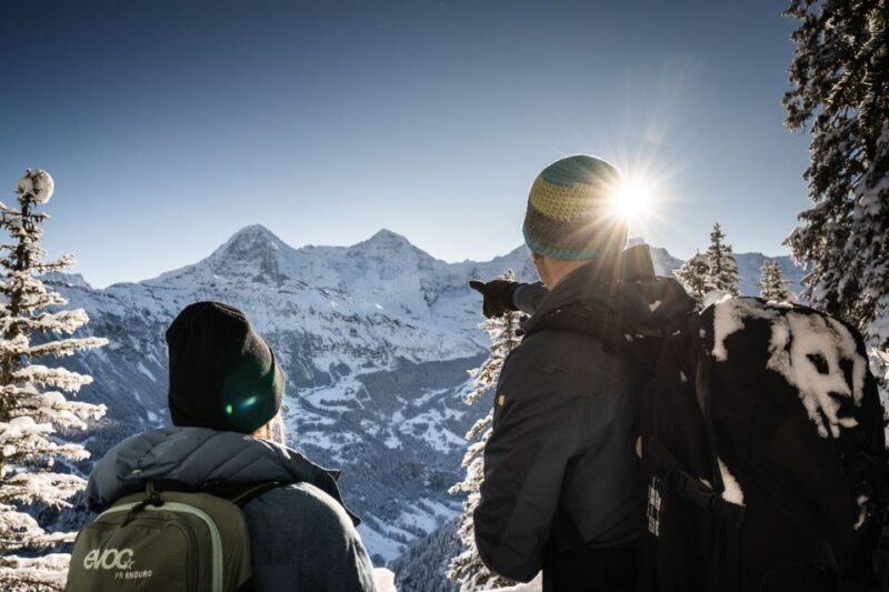 Interlaken: Guided Sledging Adventure - Inclusives and Requirements
