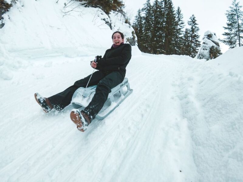 Interlaken: Guided Sledging Adventure - Customer Ratings and Feedback