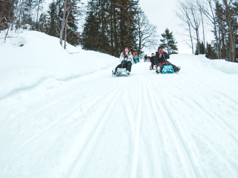 Interlaken: Guided Sledging Adventure - Safety Considerations