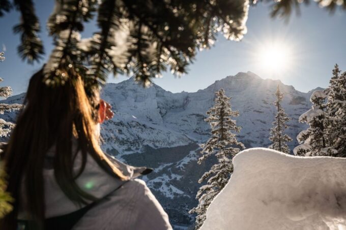 Interlaken: Guided Sledging Adventure - Frequently Asked Questions