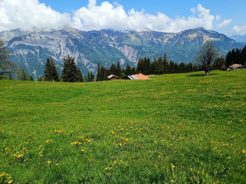 Interlaken: Highlights Tour With a Local by Private Car - Hidden Gems