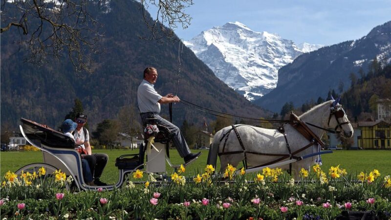 Interlaken: Highlights Tour With Horse Carriage - Key Points