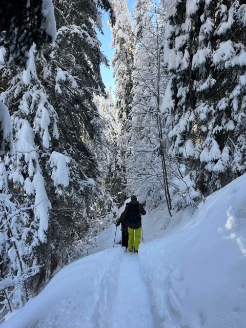 Interlaken. Hiking and Fondue Adventure in the Swiss Alps. - Key Points