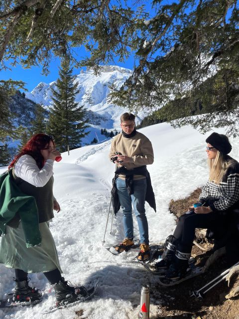 Interlaken. Hiking and Fondue Adventure in the Swiss Alps. - Mürren: A Charming Alpine Village