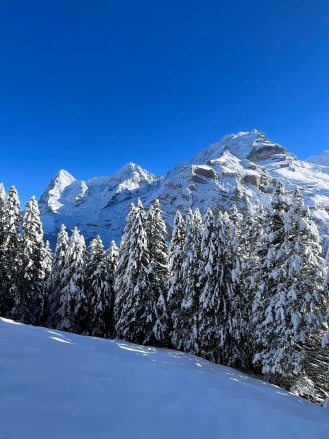 Interlaken. Hiking and Fondue Adventure in the Swiss Alps. - Fondue Indulgence in Gimmelwald