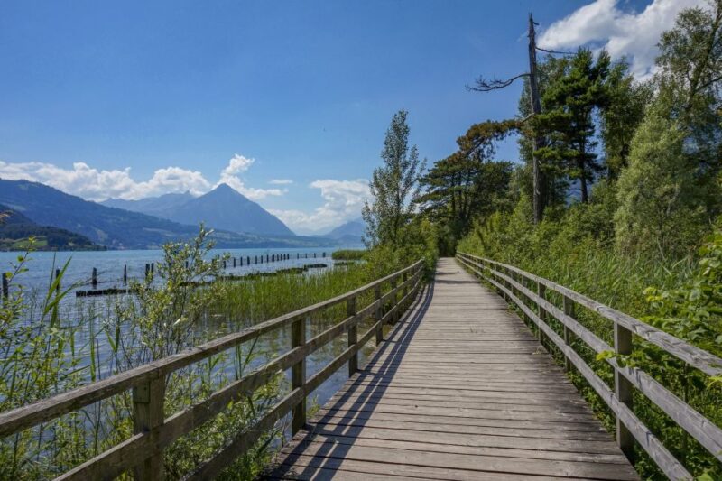 Interlaken: Insta-Perfect Walk With a Local - Highlights of the Tour