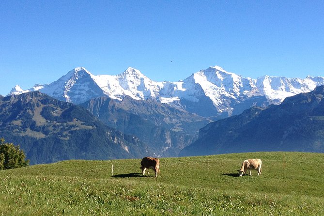 Interlaken & Jungfrau Private Tour - Customized Day Tour With Your Local Guide - Tour Details