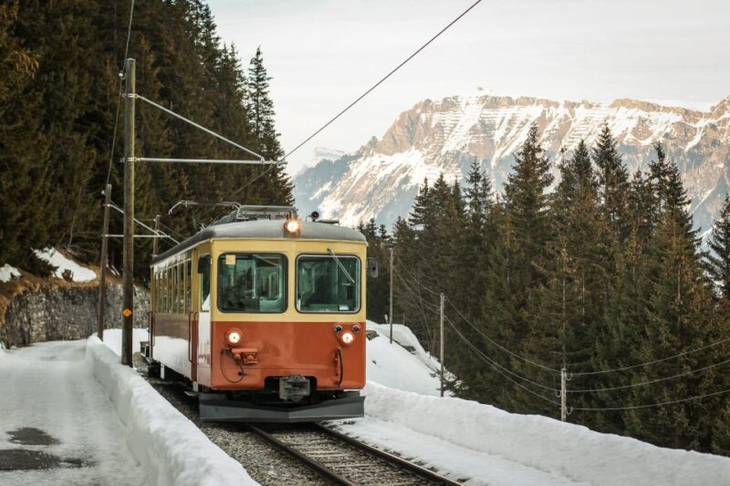Interlaken: Lauterbrunnen & Mürren Village Small Group Tour - Booking Information