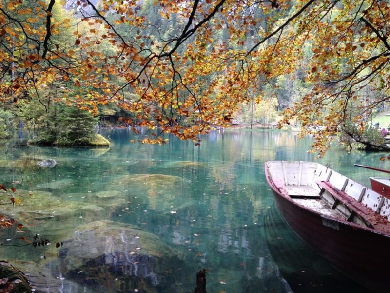 Interlaken Private Tour: Blue Lake & Öschinen Lake - Inclusions