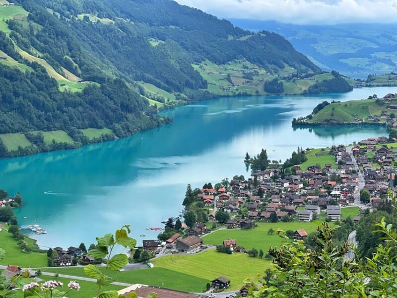 Interlaken Valley E-Bike Tour: Rivers, Lakes & Forests - Inclusions