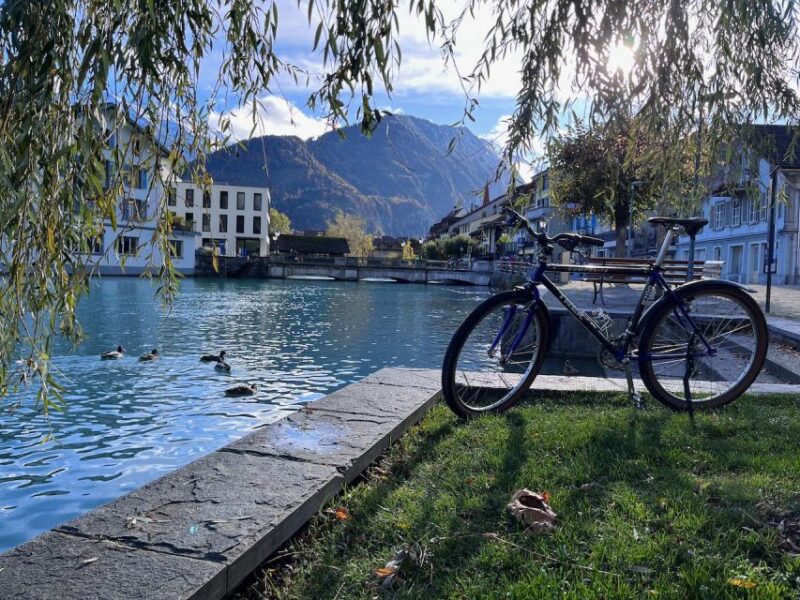 Interlaken Valley E-Bike Tour: Rivers, Lakes & Forests - Important Information