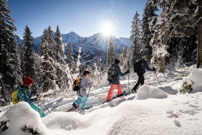 Interlaken: Winter Alpine Adventure - Snowshoe and Sledding - Customer Feedback Highlights