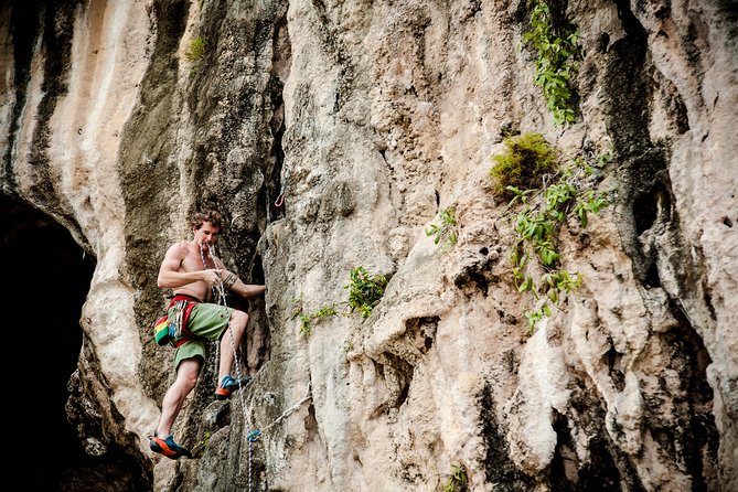 Intermediate-Advanced Half Day Private Rock Climbing Trip at Railay Beach - Details of the Trip