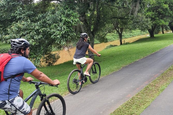 Interparks Cycling Tour Curitiba for Small Groups - Location and Reviews