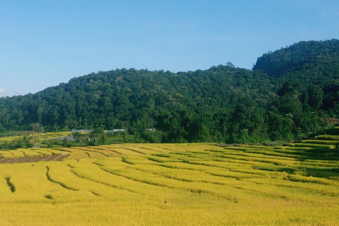 Inthanon Day Trip From Chiang Mai With Lunch - Group or Private - Meeting and Pickup Details