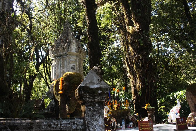 Inthanon Day Trip From Chiang Mai With Lunch - Group or Private - Ang Ka Nature Trail