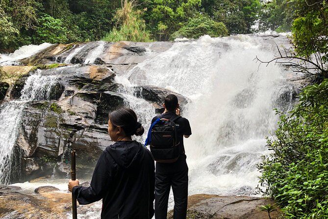 Inthanon National Park Tour With Soft Hike at Pha Dok Siew Trail - Highlights of Inthanon National Park