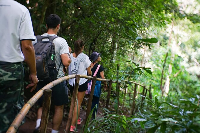 Inthanon National Park Tour With Soft Hike at Pha Dok Siew Trail - Pha Dok Siew Trail Soft Hike