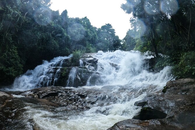 Inthanon National Park Tour With Soft Hike at Pha Dok Siew Trail - Picking Up and Meeting Point