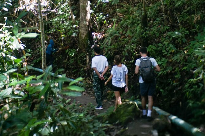 Inthanon National Park Tour With Soft Hike at Pha Dok Siew Trail - Additional Tour Information