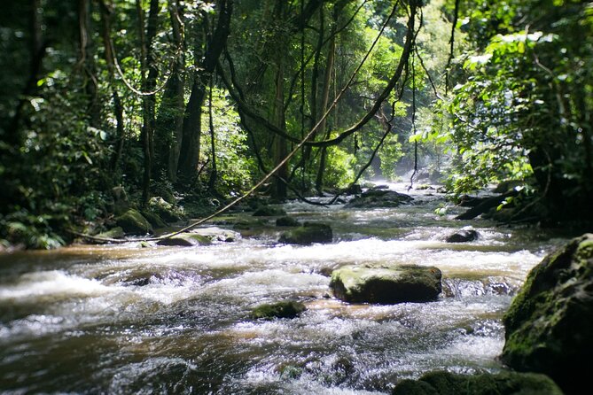 Inthanon National Park Tour With Soft Hike at Pha Dok Siew Trail - Cancellation and Booking Policies