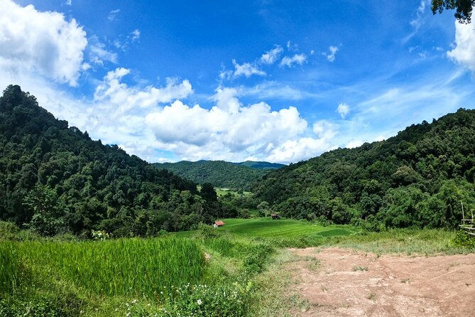 Inthanon National Park Tour With Soft Hike at Pha Dok Siew Trail - Exploring Chiang Mais Natural Wonders