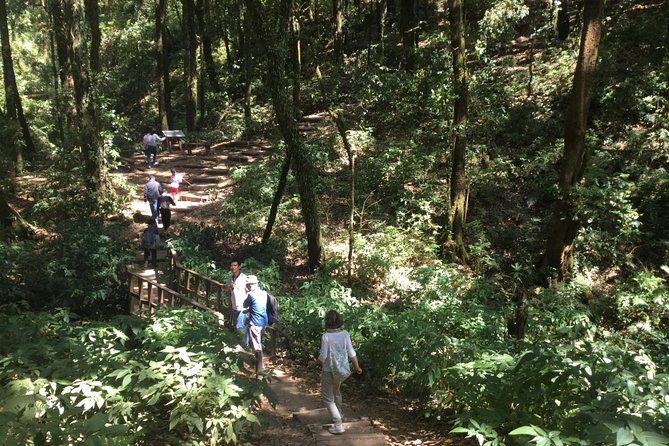 Inthanon Small-Group With Kew Mae Pan Trail From Chiang Mai Include Lunch - Itinerary Details