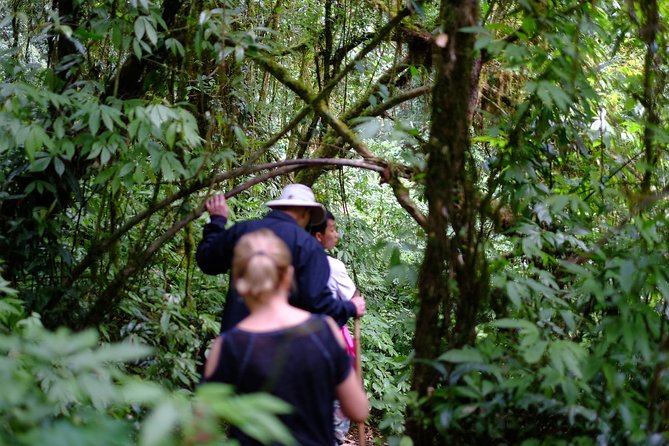 Inthanon Small-Group With Kew Mae Pan Trail From Chiang Mai Include Lunch - Additional Information