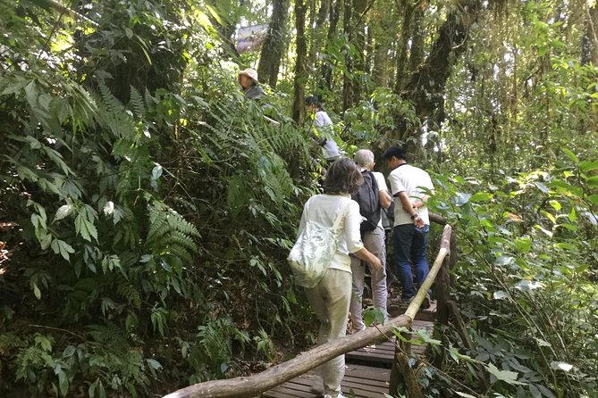 Inthanon Small-Group With Kew Mae Pan Trail From Chiang Mai Include Lunch - Visiting Wachirathan Waterfall