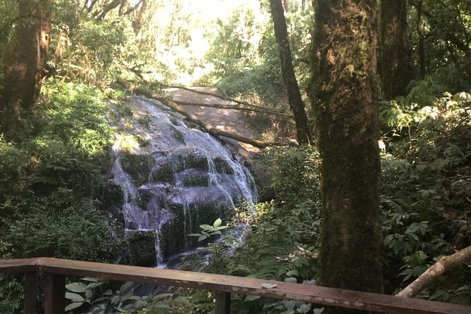 Inthanon Small-Group With Kew Mae Pan Trail From Chiang Mai Include Lunch - Hiking Kew Mae Pan Nature Trail